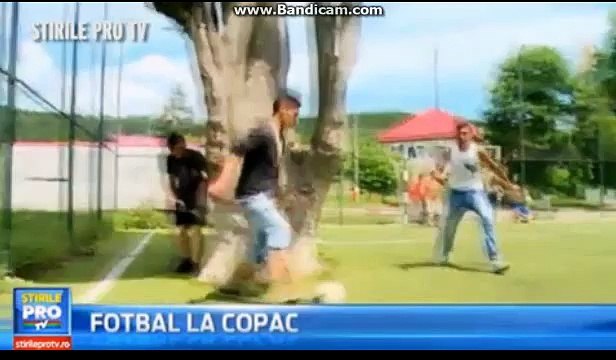 Un arbre sur le terrain de foot synthétique ... en Roumanie