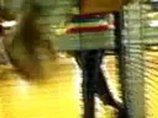 Белка в клетке