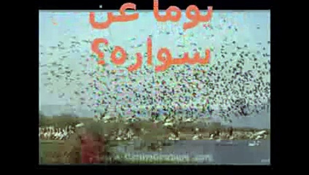 من خلف المدى...ابراهيم صبرا