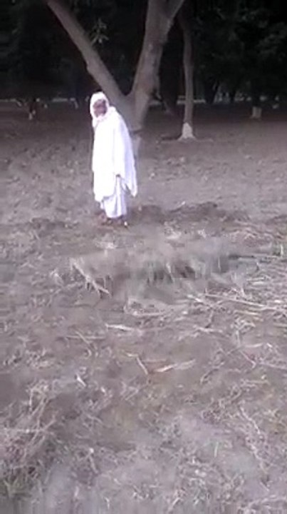 Ghost Become Wild in Public