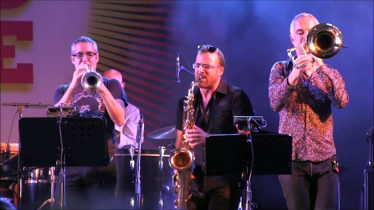 JACQUES HIGELIN AU FESTIVAL FNAC LIVE PARIS PLAGE LE 21 JUILLET 2013 n° 2 OK