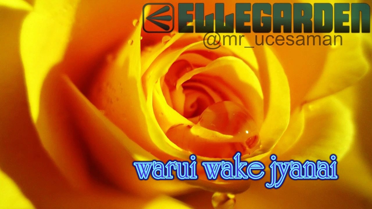 ELLEGARDEN - HANA LYRICS