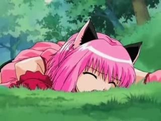 Tokyo mew mew