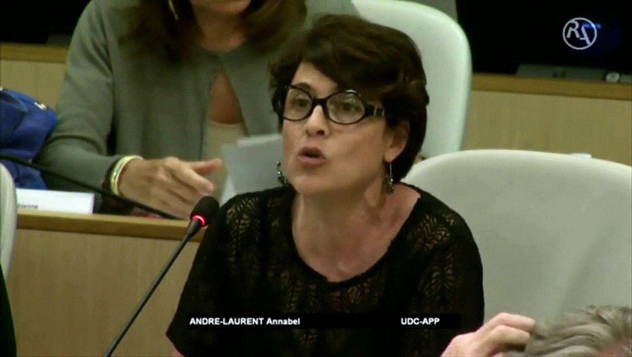 AP 29 juin 2015 - Intervention d'Annabel ANDRÉ-LAURENT sur la S.P.L. O.S.E.R. - Modification du pacte d'actionnaires