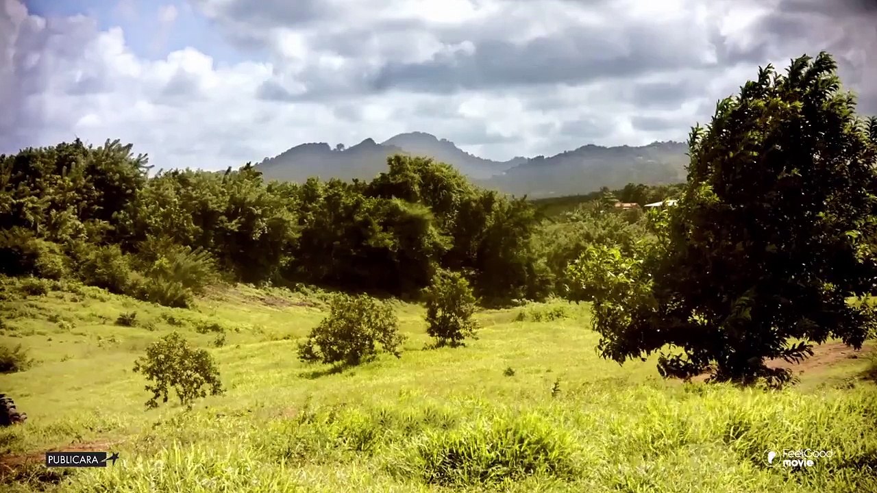 ADEME Martinique - Film VHU "C'est sur vous que ça retombe"
