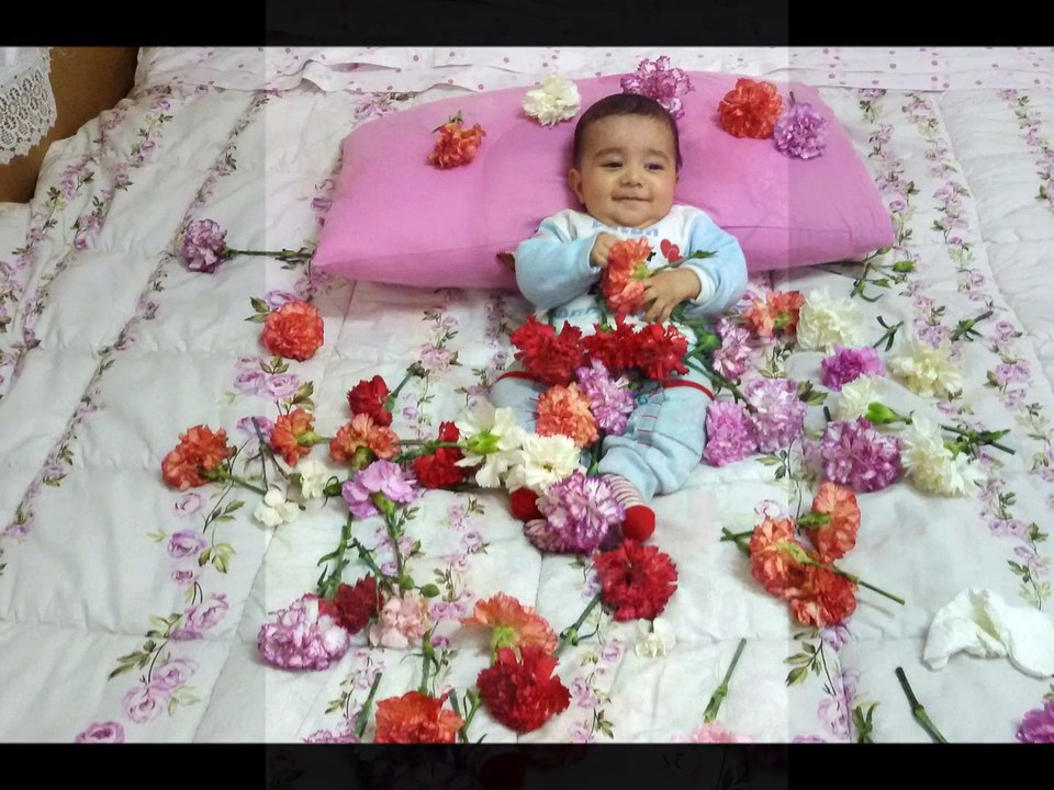 Mehmet Emin 2