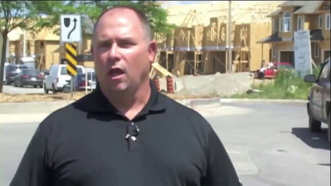 Pest Control Hamilton Raccoon Removal