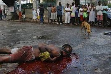 THIS CAN BE HAPPENED WITH YOU DON'T PLAY WITH DOGS