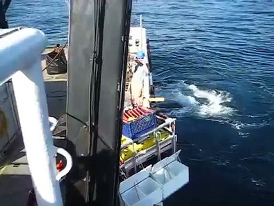 ROV (SeaEye Falcon) Launch