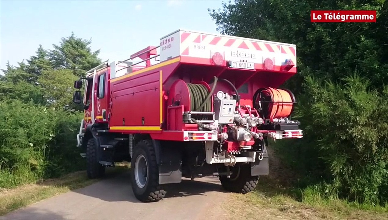 Pont-de-Buis (29). Un incendie important dans la forêt du Cranou