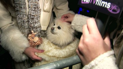 Laura Nativo , Preston Casanova,  Sundance Film Festival , Rose Angelique Bock