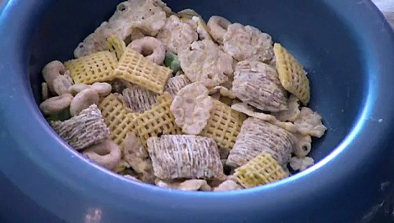 Manhattan woman keeps rats as pets