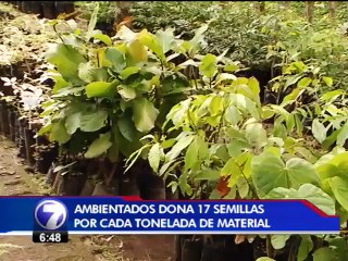 Por cada tonelada de material, Ambientados dona 17 semillas de árboles