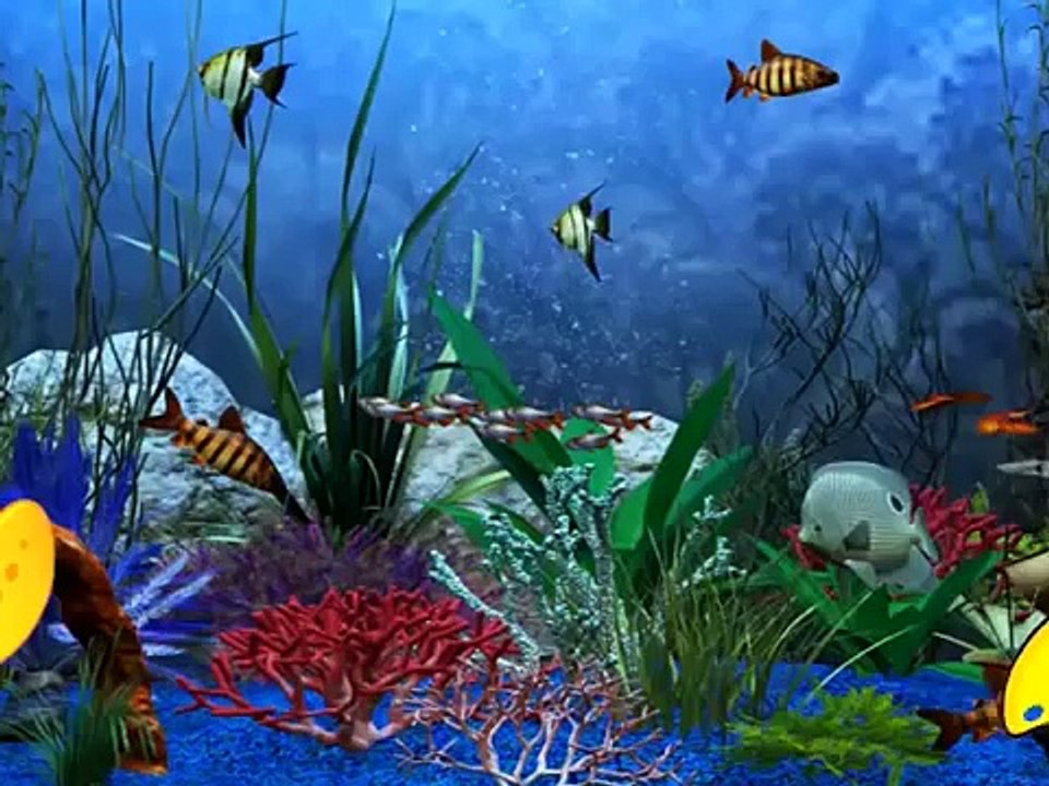 Star Fish Cartoon Finger Family Nursery Rhymes For Children to Enjoy on Day