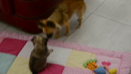 30 juin 2015 Léo et Isis