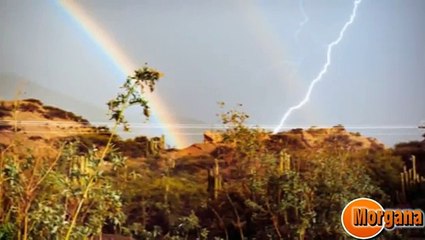 Funny videos - Incredibile ma vero !!!