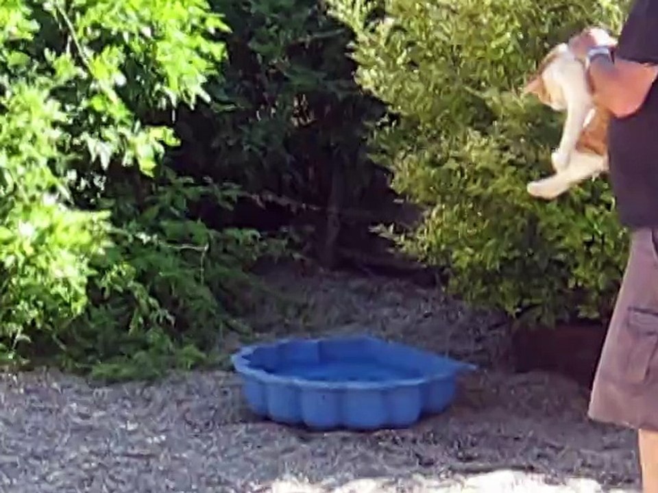 Maxi et l'eau
