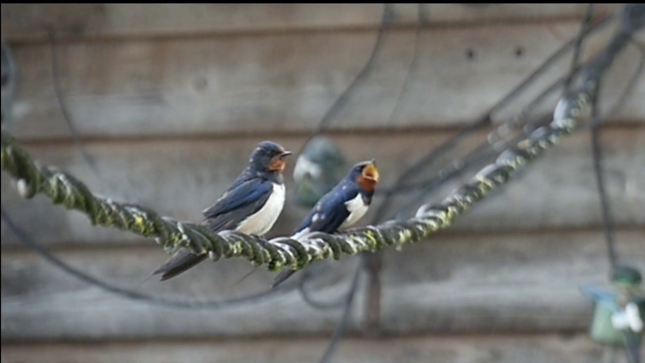 PREMIERS ESSAIS GH4 SLOW MOTION