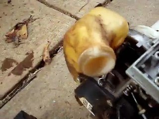 stihl fs 56 fuel line replacement.