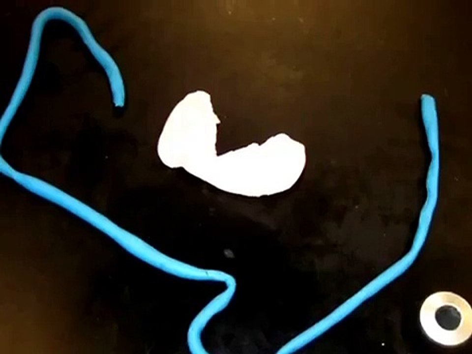 Honors Biology Cell Division Project |  biology experiments for class 9, | science activities