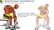 Bodybuilding Exercises - Free Weights