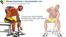 Bodybuilding Exercises - Free Weights