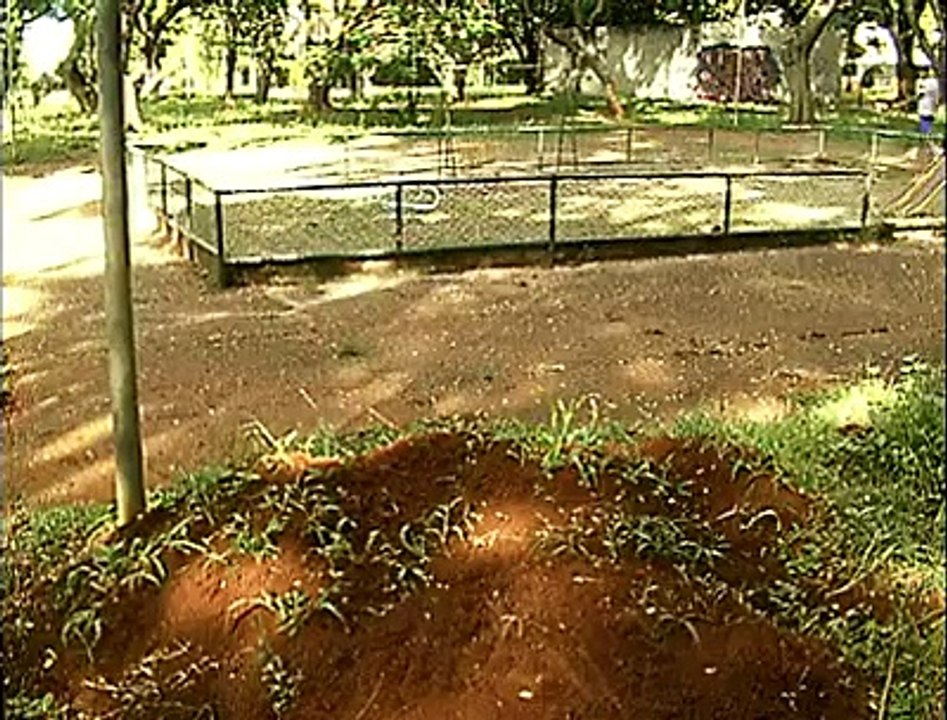 Parquinho 404