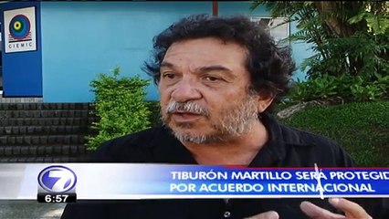 País debe mejorar controles para evitar exportación ilegal de tiburón martillo
