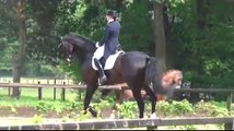 BENETTON DREAM v. Brentano II / Rotspon - S-Dressur Zeven 20.05.2012