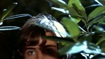 Diversão e Arte 26/04/2013