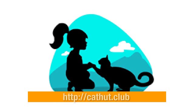 Las Cajas de Carton para Gatos | cathut La Caja de Cartón para Tus Gatos