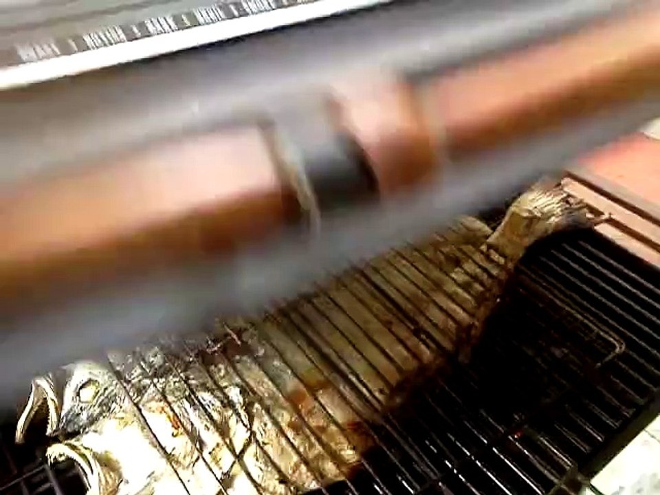 1420970_10202493383320556_420906401_n