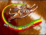 Alborosie feat Ky-Mani Marley - Natural Mystic