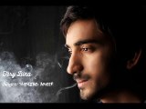 Tery Bina By Shehzad Ameer