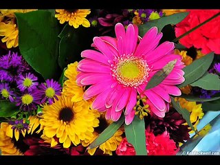 Maulana Tariq Jameel Narrates Funny Story Of a Bus Conductor [Urdu]