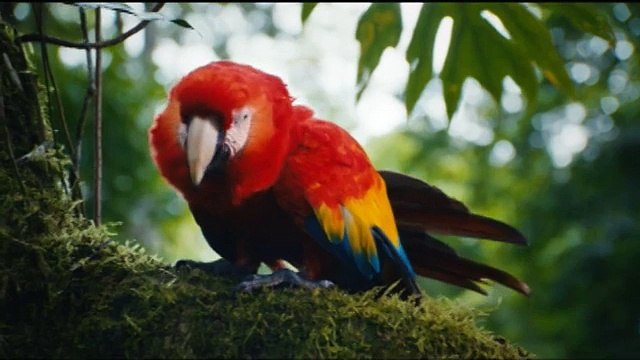 Así se promociona Costa Rica en Estados Unidos y Canadá