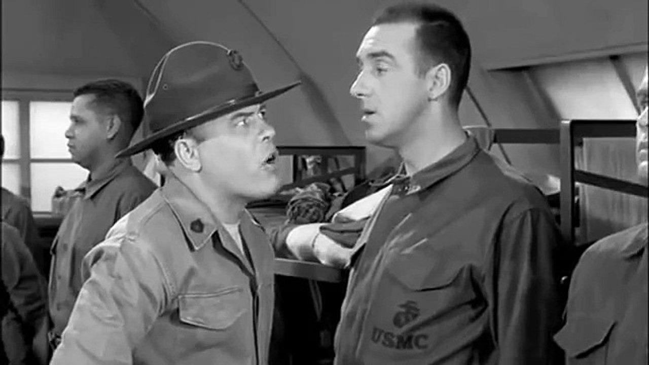 Gomer Pyle Likes Animals 2 video Dailymotion