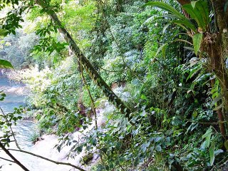 cascada de welib ha chiapas
