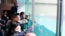 シロクマ赤ちゃん、こんにちは　秋田・男鹿水族館が公開