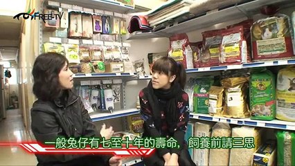 Free TV_教你令兔仔開心長壽的秘訣！