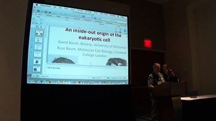 Baum: An inside-out origin of the eukaryotic cell