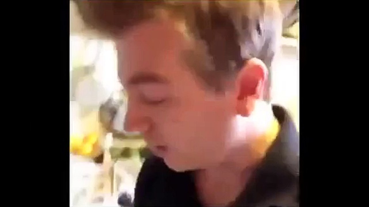 Funny Cats