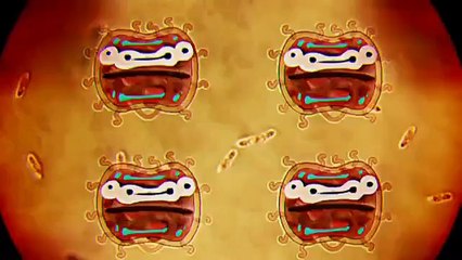 The World | The Amazing World of Gumball | Cartoon Network