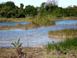Zona Arqueologica lagartero en lagos de Colon Chiapas