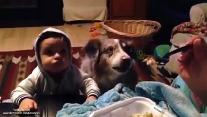 Volga Zap 006 (01-07-2015)