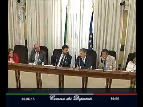 Roma - Audizione rappresentanti Croce Rossa Italiana (30.06.15)