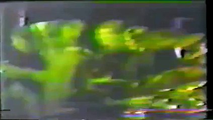 Diversão & Arte - 16/11