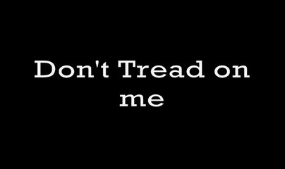 Metallica Don't Tread on Me with lyrics