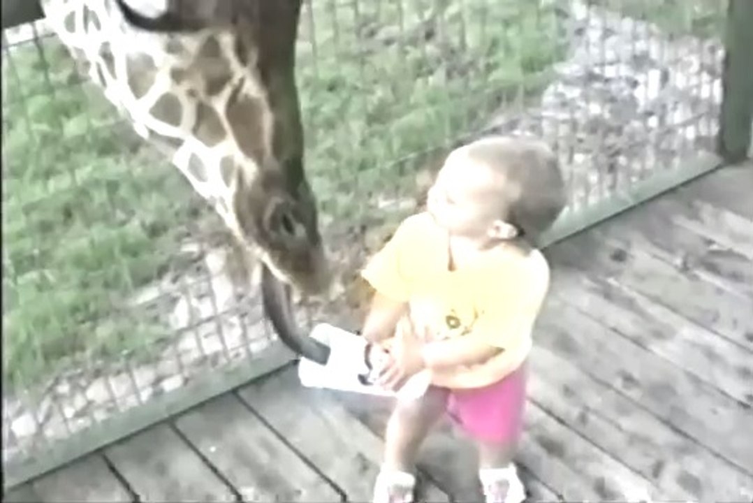 Kids At The Zoo Compilation -- Full