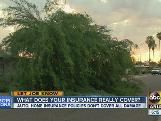 What does your insurance really cover?